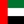 UAE flag